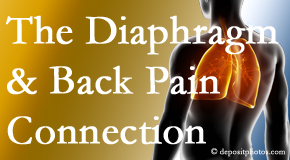 Dr. Le's Chiropractic & Wellness, L.L.C. recognizes the relationship of the diaphragm to the body and spine and back pain. 