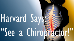Auburn chiropractic for back pain relief urged by Harvard