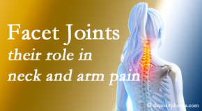 Dr. Le's Chiropractic & Wellness, L.L.C. carefully examines, diagnoses, and treats cervical spine facet joints for neck pain relief when they are involved.