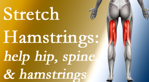 Dr. Le's Chiropractic & Wellness, L.L.C. promotes back pain patients to stretch hamstrings for length, range of motion and flexibility to support the spine.