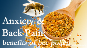 Dr. Le's Chiropractic & Wellness, L.L.C. presents info on the benefits of bee pollen on cognitive function that may be impaired when dealing with back pain.