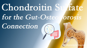 Dr. Le's Chiropractic & Wellness, L.L.C. presents new research linking microbiota in the gut to chondroitin sulfate and bone health and osteoporosis. 