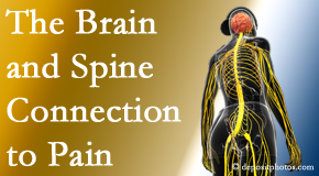 Dr. Le's Chiropractic & Wellness, L.L.C. shares at the connection between the brain and spine in back pain patients to better help them find pain relief.