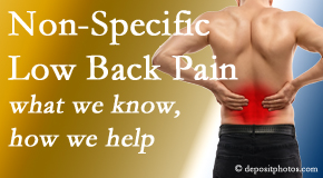 Dr. Le's Chiropractic & Wellness, L.L.C. describes the specific characteristics and treatment of non-specific low back pain. 