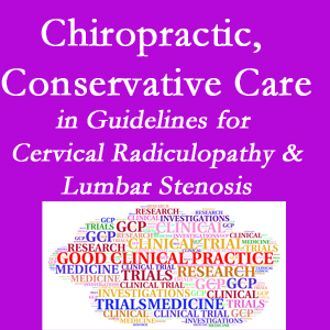 Auburn chiropractic care for cervical radiculopathy and lumbar spinal stenosis is often ignored in medical studies and recommendations despite documented benefits. 