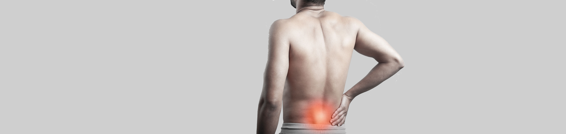 Auburn back paraspinal muscles