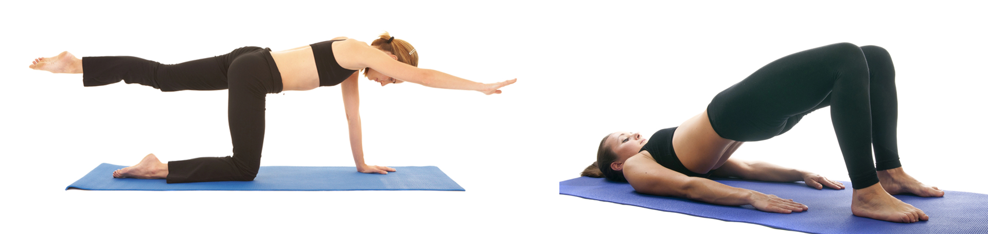 Auburn chiropractic exercise to strengthen multifidus 