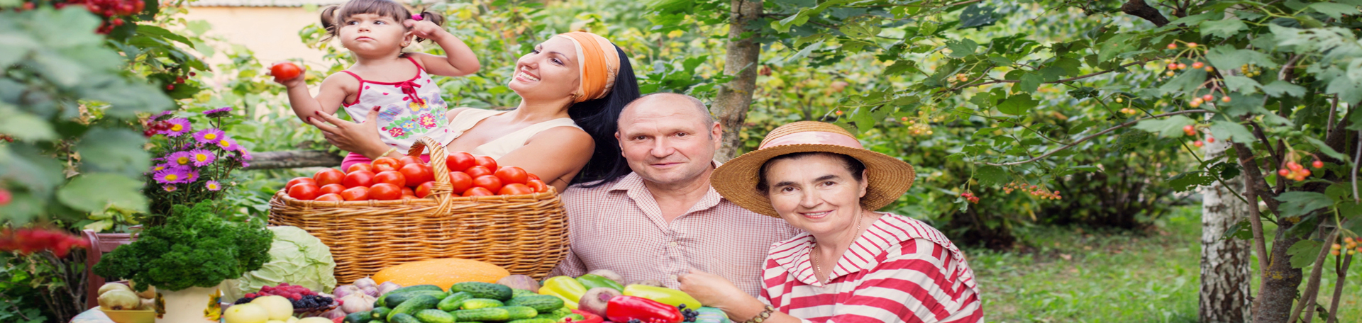  Auburn chiropractic summer health tips