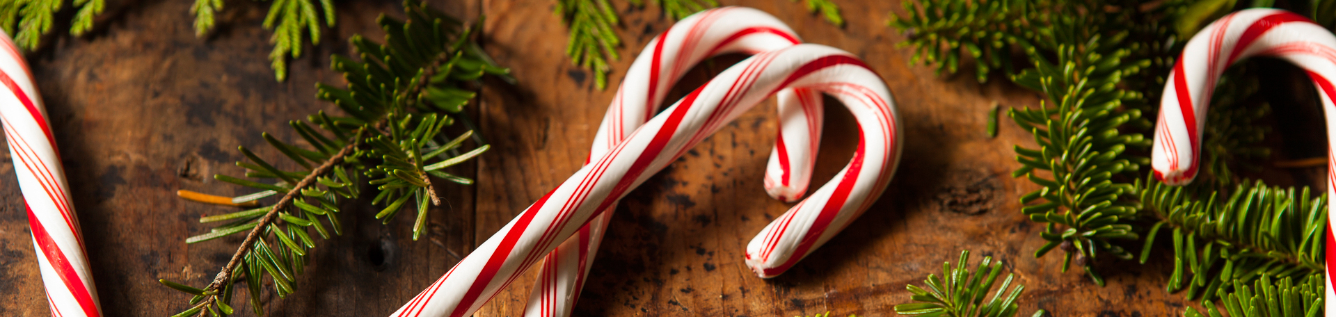 Peppermint for Auburn Cognition & Appetite Regulation!