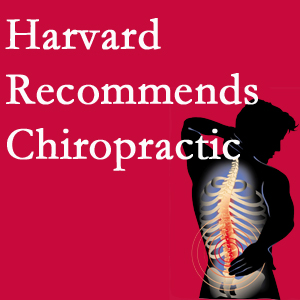 Dr. Le's Chiropractic & Wellness, L.L.C. offers chiropractic care like Harvard recommends.