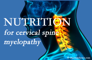 Dr. Le's Chiropractic & Wellness, L.L.C. shares the nutritional factors in cervical spine myelopathy in its development and management.