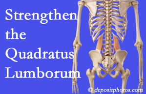 Auburn chiropractic care proposes exercise recommendations to strengthen spine muscles like the quadratus lumborum as the back heals and recovers.