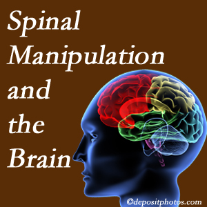 Dr. Le's Chiropractic & Wellness, L.L.C. [shares research on the benefits of spinal manipulation for brain function. 