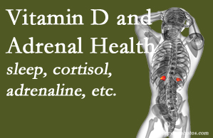 Dr. Le's Chiropractic & Wellness, L.L.C. shares new studies about the effect of vitamin D on adrenal health and function.